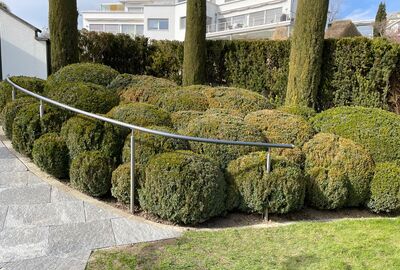 Filigraner Handlauf im wunderschönen «Englischen Garten» von «Cash Guru» Fredi Herbert - Bernet «Flexo Handläufe»